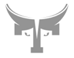 THEOS IT Solutions